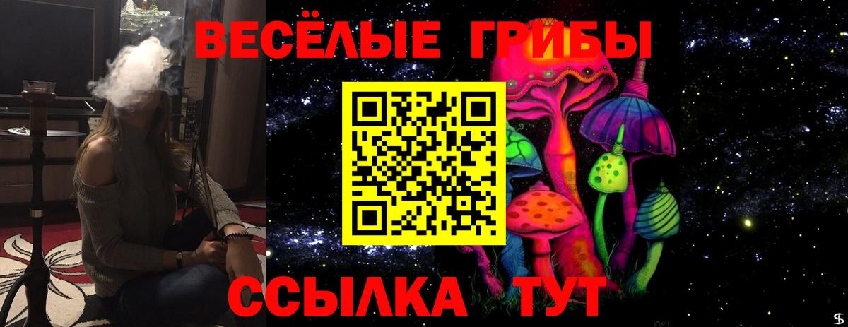 купить наркотик  Галлюциногенные грибы Psilocybe  Вход с VPN  Донецк 